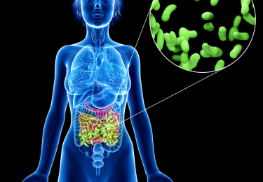 Are Gut Health & Chronic Pain Related?