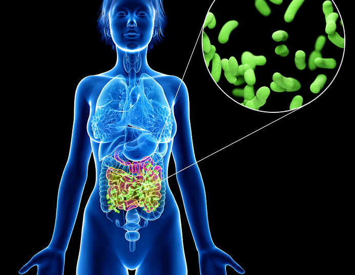 Are Gut Health & Chronic Pain Related?