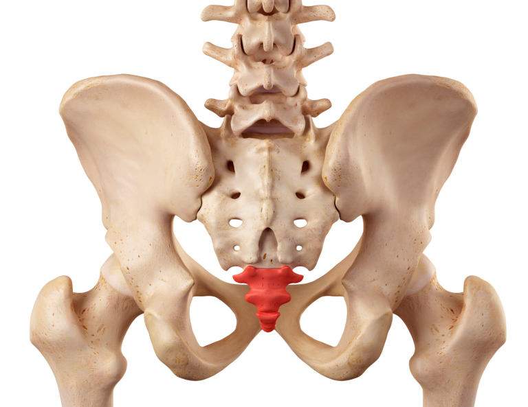 Tailbone Pain or Coccydynia Causes and Treatment Revitalize Medical
