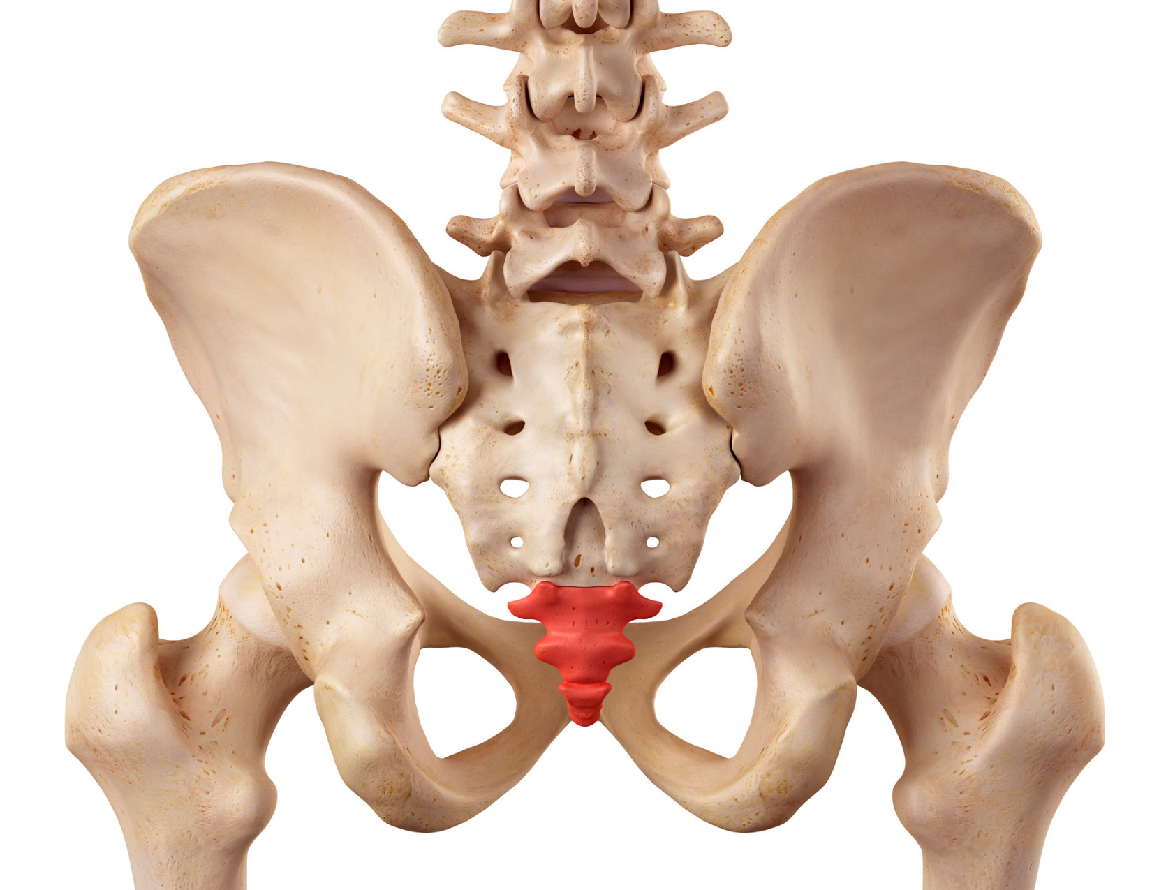 Tailbone Pain or Coccydynia : Causes and Treatment